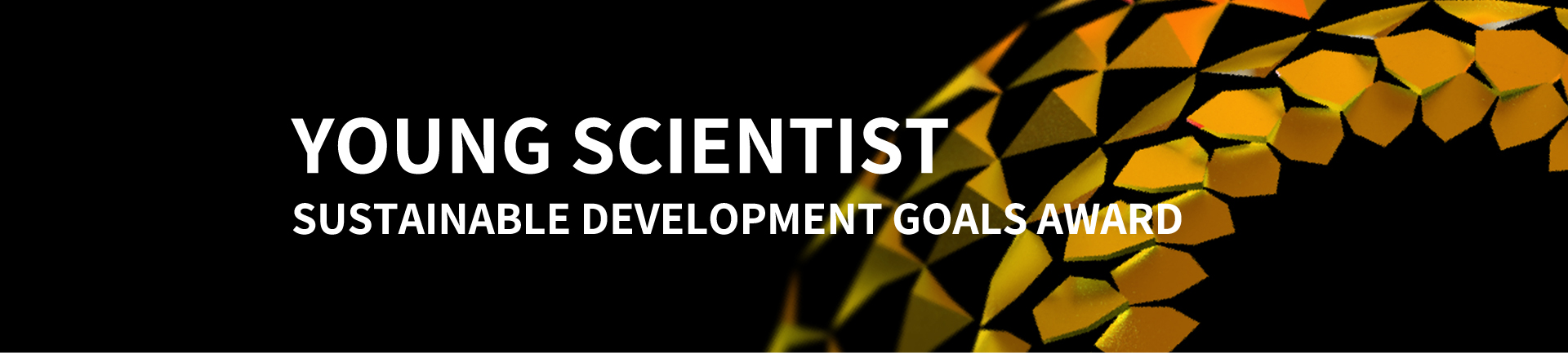 Young Scientist SDGs Award