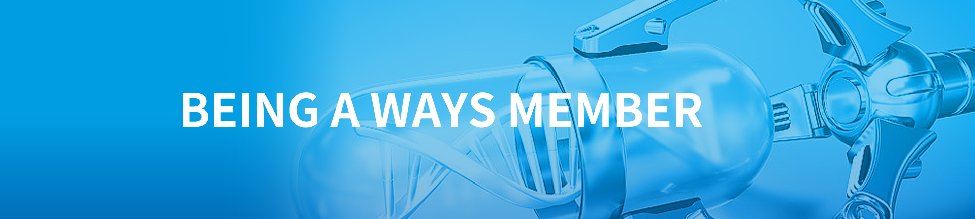 Being a WAYS Member